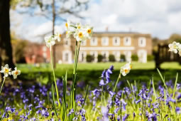 Follow the Easter Egg Trail at Fulham Palace