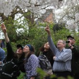 Talk on Birdwatching at Fulham Palace