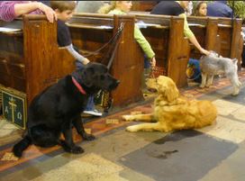 Pet Blessing Service at All Saints Fulham