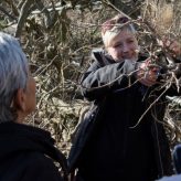 Wisteria Pruning Workshop