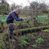 Brushwood Staking Workshop at Fulham Palace