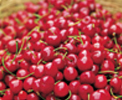 Cherries