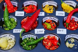 Chilli Fest to Raise the Temperature at Fulham Palace 