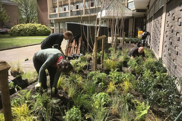 Residents working on planting in the Clem Attlee Estate 