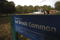 Has Eel Brook Common Become a Crime Hotspot?