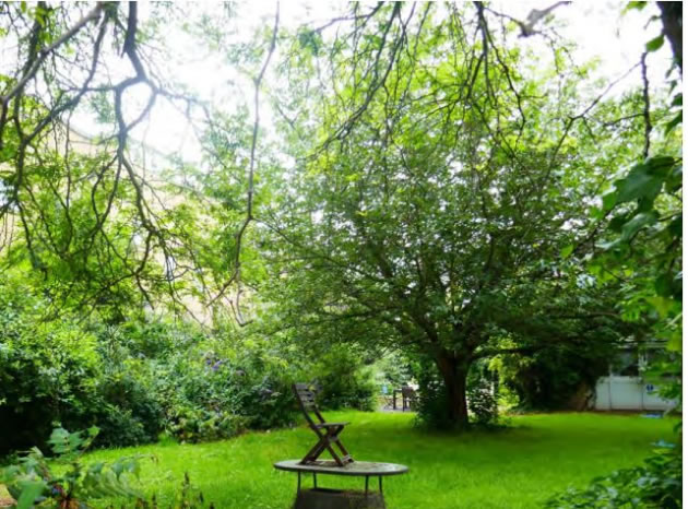 The garden at the Farm Lane property 