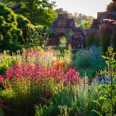 Flowers at Fulham Palace