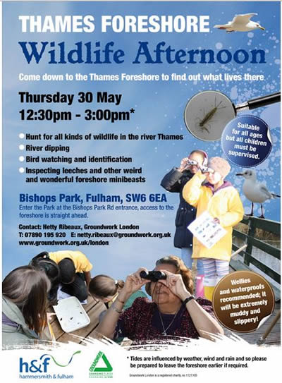 Help Clean Up Fulham's Foreshore