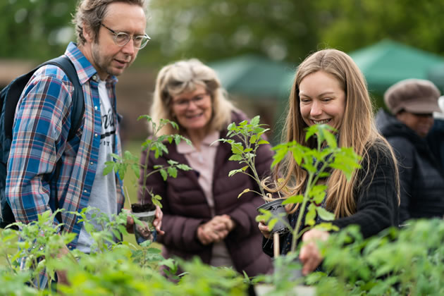 Green Meet Planned at Fulham Palace