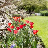 Garden walk at Fulham Palace