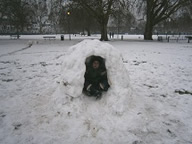Igloo in Fulham