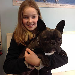 Meg the French Bulldog returned to family in Fulham