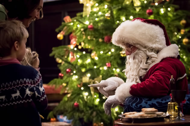 Father Christmas will be flying in specially to meet children in the Palace library