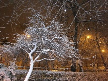 Snow overnight in Fulham
