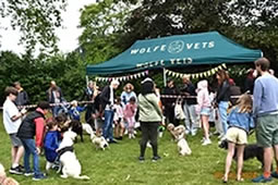 Picnic in the Park and Dog Show Bring Summer Cheer to South Park