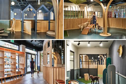 WagWorks Launches Private Members Club for Dogs