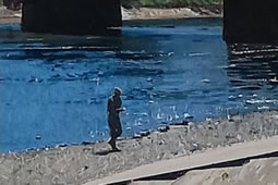 Around a River: Paintings and Drawings by Anthony Nesbit