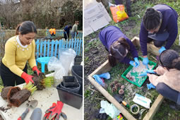 Grants Available for Local Environmental Projects