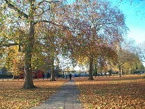 Autumn in Shepherds Bush